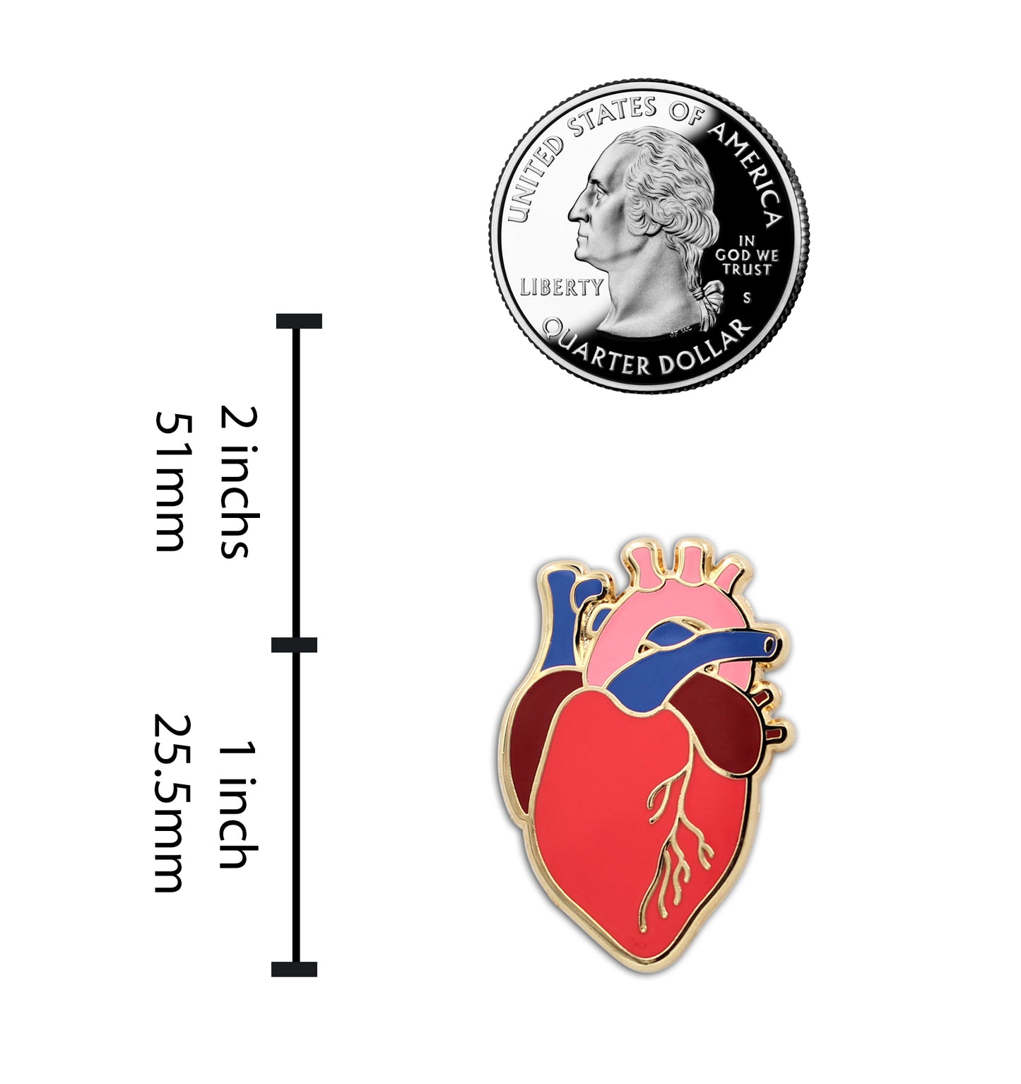 Anatomical Heart Pin - Realistic Heart Enamel Pin